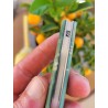 Couteau pliant Issoire damas loupe de peuplier